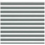 vidaXL Doppelrollo Dunkelgrau 165x100 cm Stoffbreite 160,9 cm Polyester