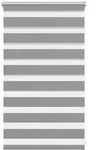vidaXL Doppelrollo 50 x 100 cm grau