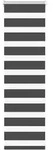 vidaXL Doppelrollo Schwarz 55x100 cm Stoffbreite 50,9 cm Polyester