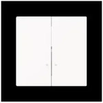 Busch-Jaeger Zentralscheibe 1785/11 K-44M 2CKA001751A3310