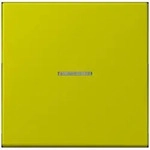 Jung Wippe mit Lichtleiter LC 101 KO5 249 LC101KO5249