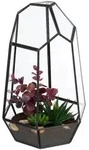 Relaxdays Pflanzenterrarium, Glas & Zinn, Deko Glashaus f&uuml;r Kakteen & Moos, offener