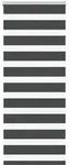 vidaXL Doppelrollo Schwarz 65x100 cm Stoffbreite 60,9 cm Polyester