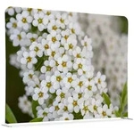 SHOWDOWN Displays Showdown Textil Raumteiler Basic - 200-150 Doppel Wei&szlig;e Blume