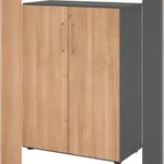 b&uuml;m&ouml; Aktenschrank abschlie&szlig;bar, B&uuml;roschrank Holz 80cm breit in...