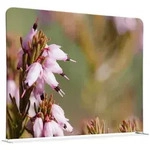 SHOWDOWN Displays Showdown Textil Raumteiler Basic - 200-150 Doppel Pinke Blume...