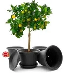 BigDean 4 St&uuml;ck Blumentopf mit Untersetzer rund &oslash; 35 cm Anthrazit &ndash;...