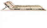 vidaXL Lattenrost mit 28 Latten 7 Zonen 80 x 200 cm