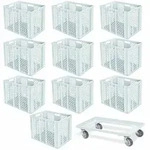 BRB 10 Euroboxen, 600x400x410 mm, lebensmittelecht, wei&szlig; + Transportroller