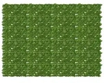 vidaXL Balkonsichtschutz mit Bl&auml;ttern Gr&uuml;n und Gelb 200 x 150 cm
