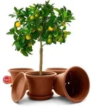 BigDean 4 St&uuml;ck Blumentopf mit Untersetzer rund &oslash; 35 cm Terracotta &ndash;...