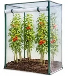Mojawo Tomatengew&auml;chshaus Fr&uuml;hbeet Foliengew&auml;chshaus 100x50x150cm