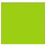 vidaXL Verdunkelungsrollo Gr&uuml;n 150x175cm Stoffbreite 146,6cm Polyester