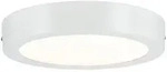 Paulmann LED Panel Lunar rund 225mm 3000K Wei&szlig; matt 70642