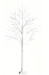 COSTWAY 180 cm LED Lichtbaum, Birke mit Warmwei&szlig;en LED-Lichtern, K&uuml;nstlicher