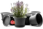 BigDean 8 St&uuml;ck Blumentopf mit Untersetzer rund &oslash; 25 cm Anthrazit &ndash;...