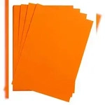 Clairefontaine Maya Bastelkarton 50x70cm 185g 25 Bogen - Clementine 975466C