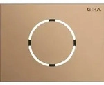Gira Frontpl. T&uuml;rstationsmodul 5579921