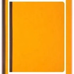 Exacompta 14060E Geschaeftsbuch 32x25 80S 6 Spalten - Farben sortiert