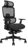 Ergonomischer B&uuml;rostuhl / B&uuml;rodrehstuhl, h&ouml;henverstellbar, Black, high-back,