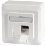 Helos Anschlussdose, Cat 6A (EIA/TIA), AP/UP, 2 Port, reinwei&szlig;