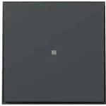 Gira Wippe gerade Kontrollf. 349067