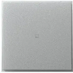 Gira Wippe gerade Kontrollf. 349065
