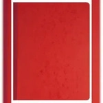 Exacompta 14080E Geschaeftsbuch 32x25 80S 8 Spalten - Farben sortiert