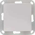 OPUS&reg; 55 Blindabdeckung mit Kunststofftragring : Blindabdeckung OPUS-55, pw