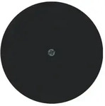 Berker Zentralst&uuml;ck sw/gl 10192045