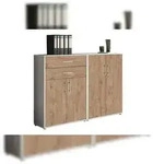 moebel-dich-auf Aktenschrank TABOR 12 in lichtgrau / Gold Harbor Oak,...