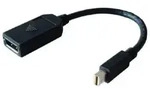 HP Single miniDP-to-DP Adapter Cable DisplayPort-Kabel DisplayPort Mini Schwarz
