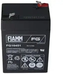 Fiamm FG10451 Blei Akku 6 Volt 4,5Ah 3FM4.5, passend f&uuml;r Leoch DJW6-4.0