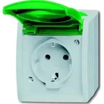 Busch-Jaeger Schuko-Steckdose 20 EWN-13-53 2CKA002083A0819