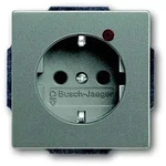 Busch-Jaeger Steckdosen-Einsatz 2310EUGL/VA-803-11 2CKA002011A3877