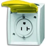 Busch-Jaeger Steckdose 3016 EWN-53 2CKA002124A0024