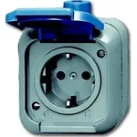 Busch-Jaeger Steckdose 2300 EWSI 2CKA002083A0368