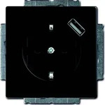Busch-Jaeger Schuko/USB-Steckdose 20 EUCBUSB-885 2CKA002011A6165