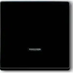 Busch-Jaeger Bedienelement 6543-81-101 2CKA006599A2881