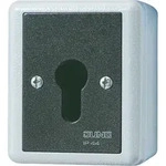 Jung Schl&uuml;sselschalter 806.28 G 806.28G