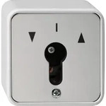 Gira Schl&uuml;sselschalter-Einsatz 014430