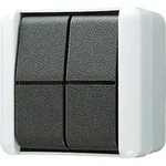 Jung Doppel-Taster 10AX 250V 839 W 839W
