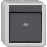 Gira WG AP Busankoppler, KNX, Aufputz, 1p, Befestigung mit Schraube, 515130