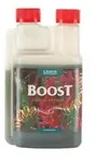 Canna BOOST Accelerator 1 l