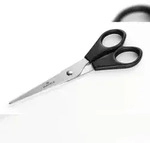 Durable Schere Standardausf&uuml;hrung 15cm rostfrei mit Kunststoffgriffen