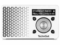 TechniSat DigitRadio 1 Tragbar Digital Silber, Weiß