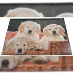 L&auml;ufer 46581 Schreibunterlage Motiv Hunde