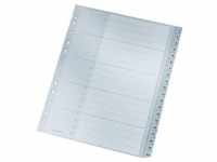 LEITZ Plastikregister 1-20, A4, PP, 20 Blatt, grau