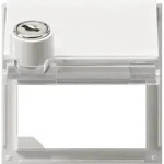Gira Zentralplatte Klappd. rws 069766