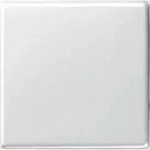 Gira Wippe Wechselsch. rws-gl 029603